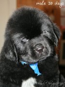 Превью фото № 121568