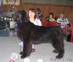 Превью фото № 12158