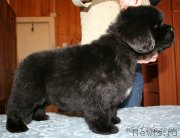 Превью фото № 121611