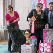 Превью фото № 121660