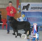 Превью фото № 12171