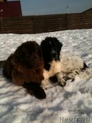 Превью фото № 121814