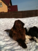 Превью фото № 121816