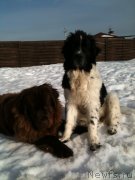 Превью фото № 121819