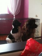 Превью фото № 121821