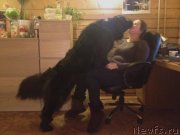 Превью фото № 121838