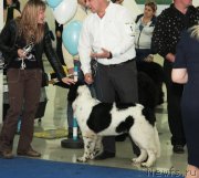 Превью фото № 121881