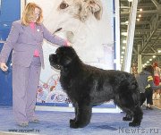 Превью фото № 121882