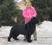 Превью фото № 121892