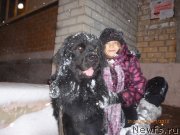 Превью фото № 121911