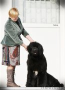 Превью фото № 121939