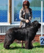 Превью фото № 121984