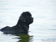 Превью фото № 122044