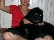 Превью фото № 122066