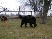 Превью фото № 122148