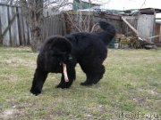 Превью фото № 122149