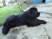 Превью фото № 122214