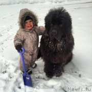 Превью фото № 122367