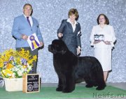 Превью фото № 122389