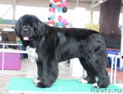 Превью фото № 122588