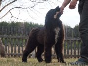 Превью фото № 122589