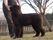 Превью фото № 122598