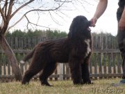 Превью фото № 122601