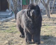 Превью фото № 122661