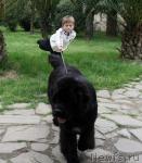 Превью фото № 12269