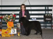 Превью фото № 122695