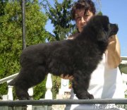 Превью фото № 122697