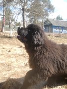 Превью фото № 122703