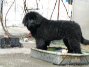 Превью фото № 122714