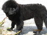 Превью фото № 122716