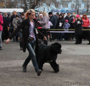 Превью фото № 122731