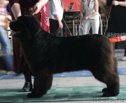 Превью фото № 122752