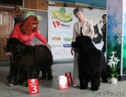 Превью фото № 122762