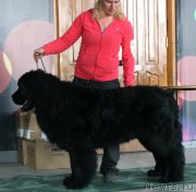 Превью фото № 122764