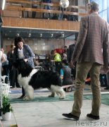 Превью фото № 122768