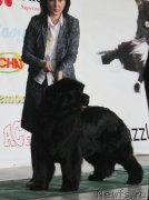 Превью фото № 122778