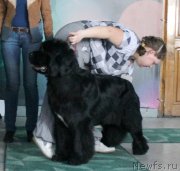 Превью фото № 122783