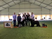 Превью фото № 122785