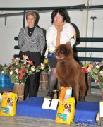 Превью фото № 122793