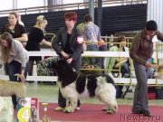 Превью фото № 122798