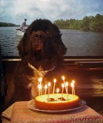 Превью фото № 122814