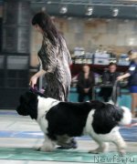 Превью фото № 122831