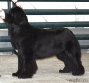 Превью фото № 122856