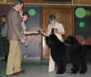 Превью фото № 122862