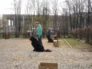 Превью фото № 122869