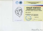 Превью фото № 122902